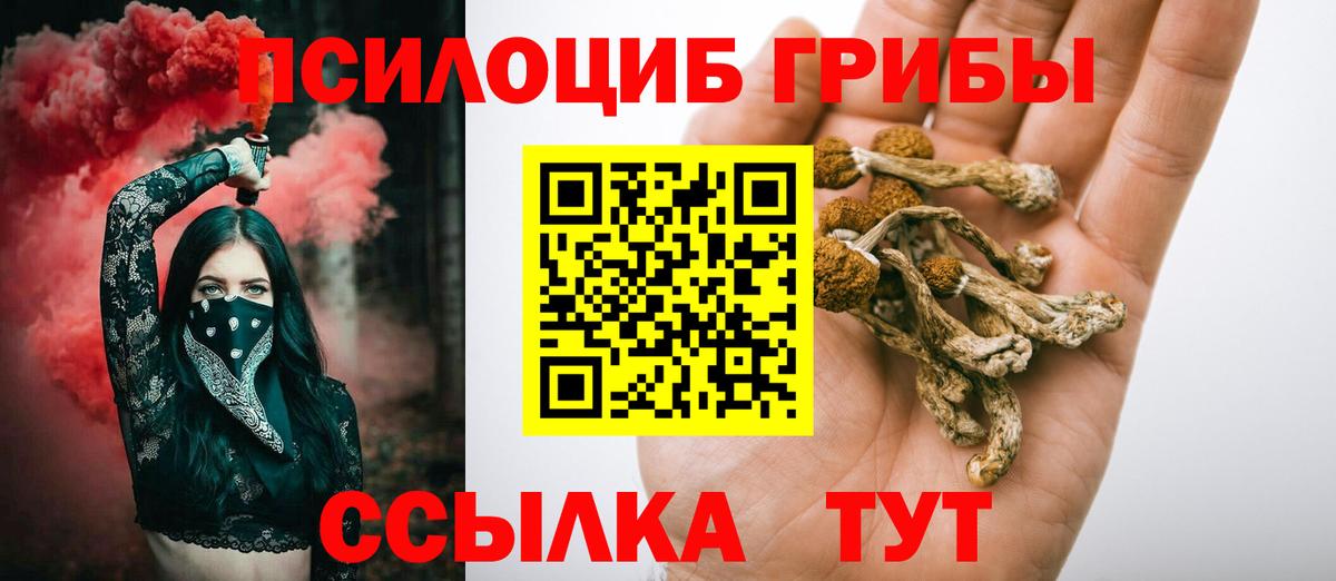 Галлюциногенные грибы мухоморы  Галлюциногенные грибы Psilocybe  купить  цена  Еманжелинск  Вход с VPN 